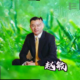 赵敏